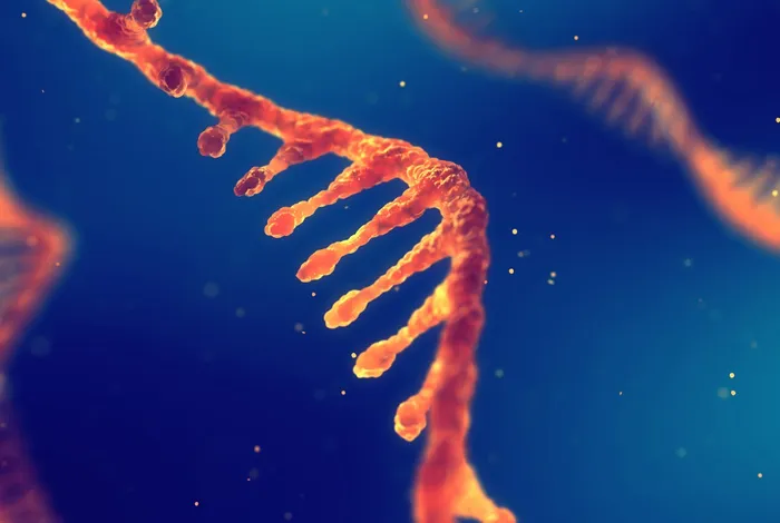 NCM 2021: Direct RNA sequencing reveals unusual NMD targets in plants