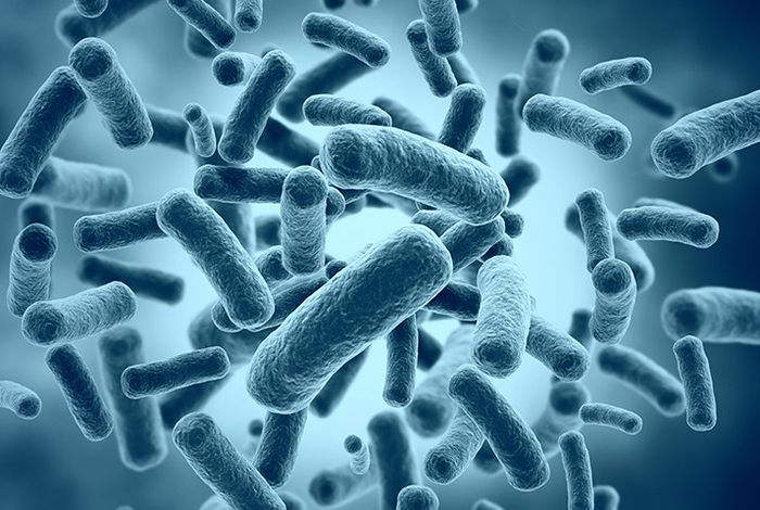 Genomic diversity and antimicrobial resistance of *Vibrio cholerae* isolates from Africa: a PulseNet Africa initiative using nanopore sequencing