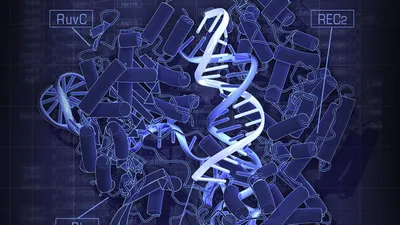 Sex differences in MAGEL2 gene promoter methylation in high functioning autism trends from a pilot study using nanopore Cas9 targeted long read sequencing
