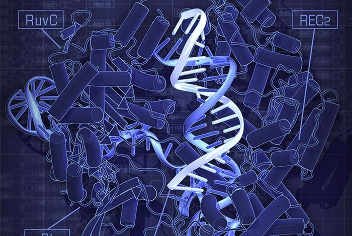 Sex differences in MAGEL2 gene promoter methylation in high functioning autism trends from a pilot study using nanopore Cas9 targeted sequencing