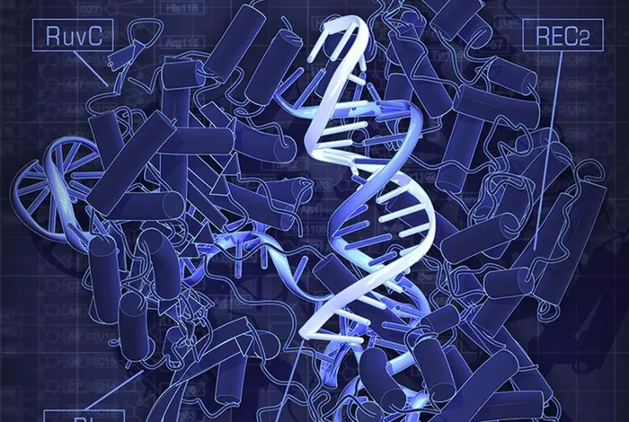 Sex differences in MAGEL2 gene promoter methylation in high functioning autism trends from a pilot study using nanopore Cas9 targeted sequencing