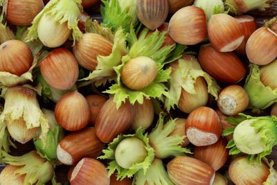 hazelnuts