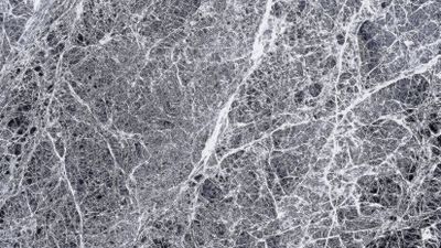 Deleterious ABCA7 mutations and transcript rescue mechanisms in early onset Alzheimer’s disease