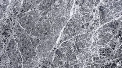 Deleterious ABCA7 mutations and transcript rescue mechanisms in early onset Alzheimer’s disease