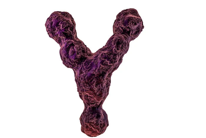 Selective single molecule sequencing and assembly of a human Y chromosome of African origin