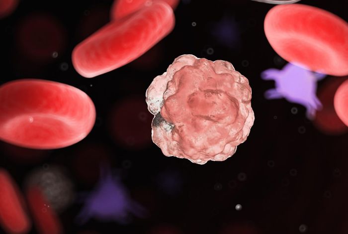 CAR+ and CAR− T cells share a differentiation trajectory into an NK-like subset after CD19 CAR T cell infusion in patients with B cell malignancies