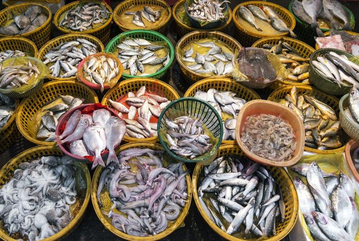 MinION sequencing of seafood in Singapore reveals creatively labelled flatfishes, confused roe, pig DNA in squid balls, and phantom crustaceans
