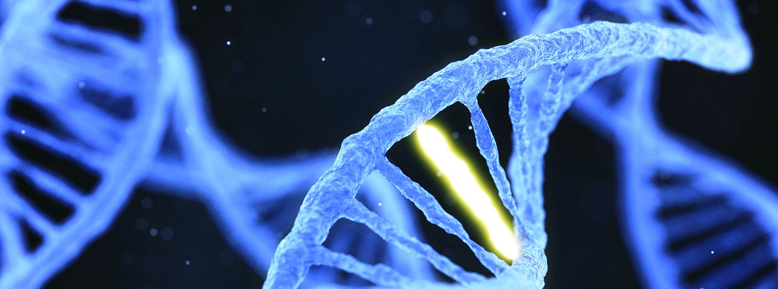 Real-time analysis of the cancer genome and fragmentome from plasma and urine cell-free DNA using nanopore sequencing