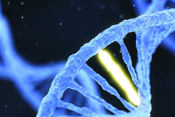 Real-time analysis of the cancer genome and fragmentome from plasma and urine cell-free DNA using nanopore sequencing