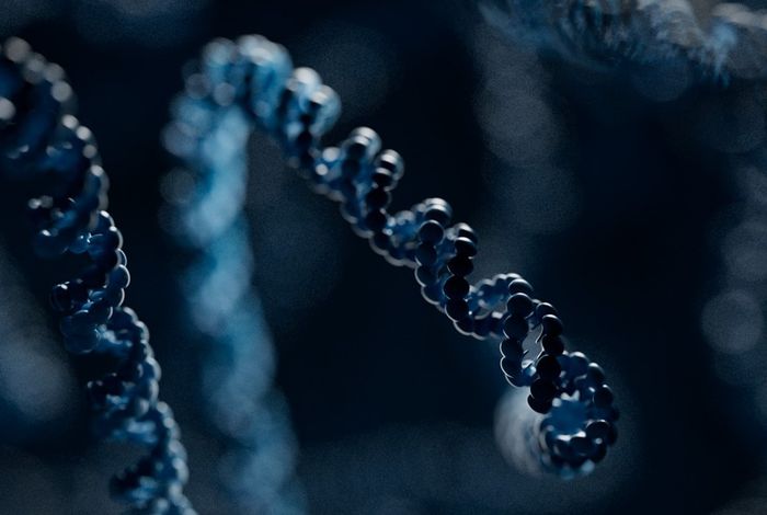 NCM 2023 Houston: Understanding normal patterns of human structural variation with nanopore sequencing