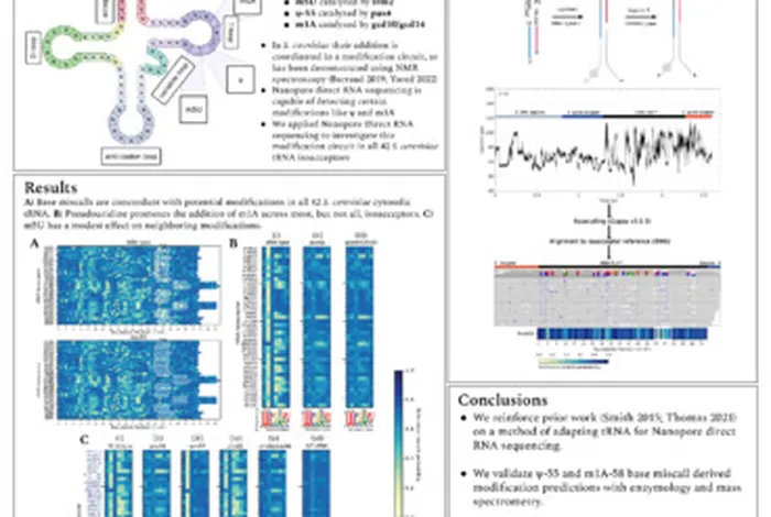 Nanopore direct RNA sequencing confirms coordinated base modifications in the T-loop of *S. cerevisiae* tRNA