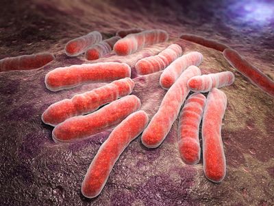 Nanopore-targeted sequencing (NTS) for intracranial tuberculosis: a promising and reliable approach