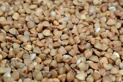 Buckwheat