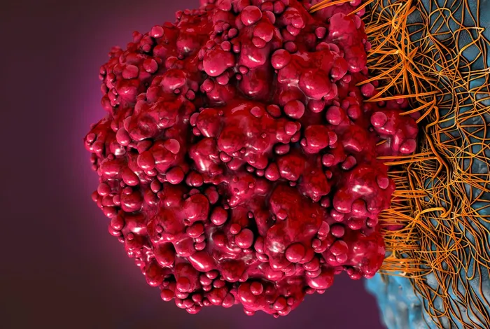 Nanopore sequencing reveals novel alternative splice variants of EZH2 in paediatric medulloblastoma