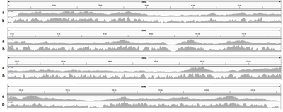Enrichment by hybridisation of long DNA fragments for Nanopore sequencing