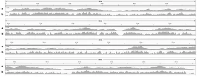 Enrichment by hybridisation of long DNA fragments for Nanopore sequencing