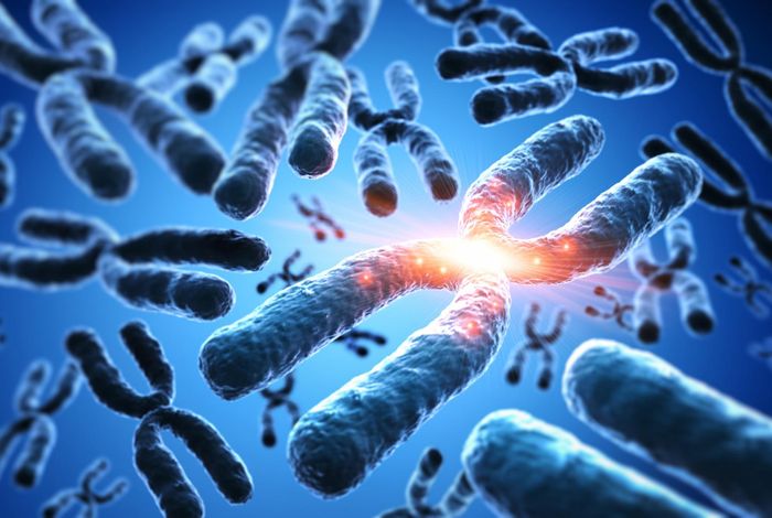 Measuring X inactivation skew for X-linked diseases with adaptive nanopore sequencing