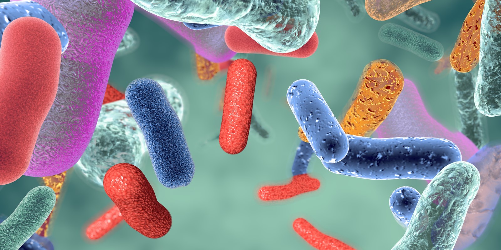NCM 2021: Nanopore R10.4 enables near-perfect bacterial genomes