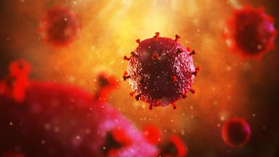 Animation of a viral molecule