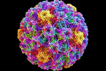 Precise identification of viral–host integration events in HPV-positive cervical cancers by targeted long-read sequencing