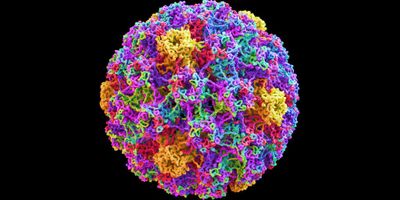 Precise identification of viral–host integration events in HPV-positive cervical cancers by targeted long-read sequencing