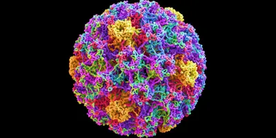 Precise identification of viral–host integration events in HPV-positive cervical cancers by targeted long-read sequencing