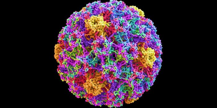 Precise identification of viral–host integration events in HPV-positive cervical cancers by targeted long-read sequencing
