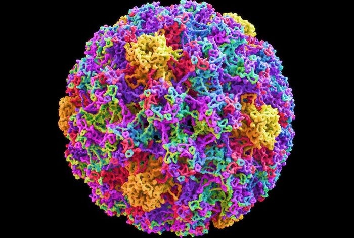 Precise identification of viral–host integration events in HPV-positive cervical cancers by targeted long-read sequencing