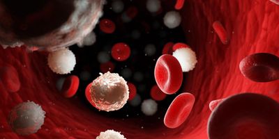 blood cells leukaemia cancer