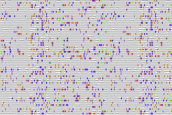 Third-generation Sequencing Reveals Extensive Polycistronism and Transcriptional Overlapping in a Baculovirus