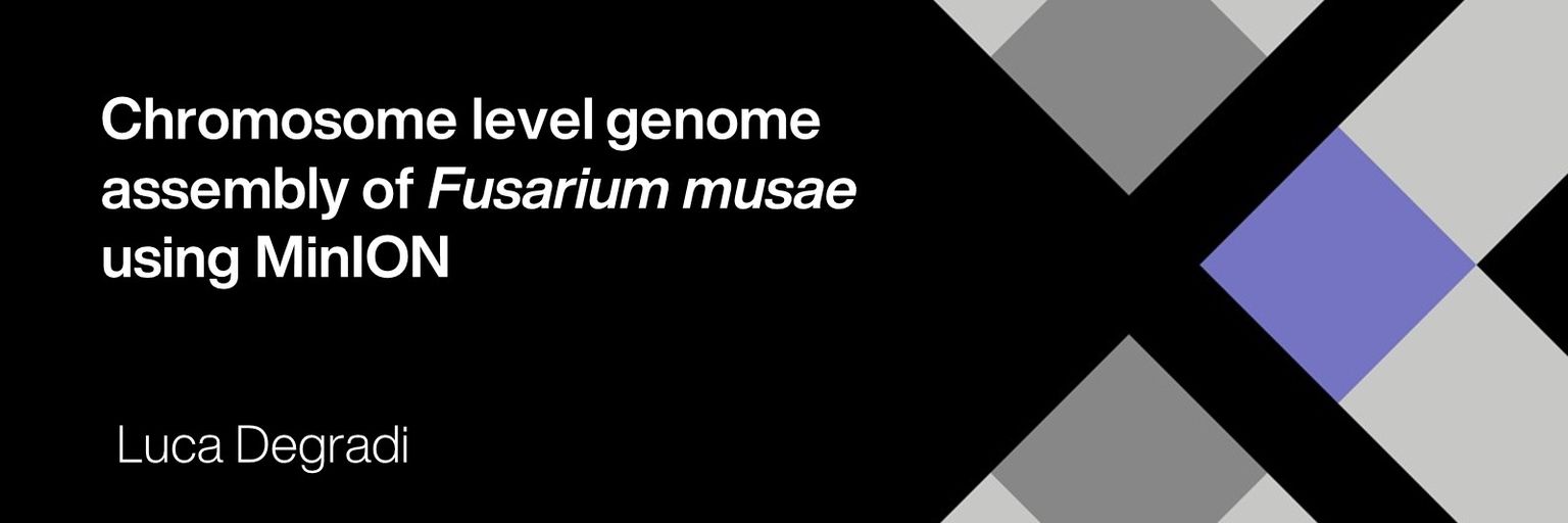 Chromosome level genome assembly of *Fusarium musae* using MinION
