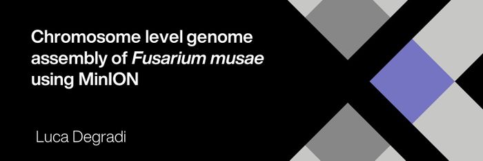 Chromosome level genome assembly of *Fusarium musae* using MinION