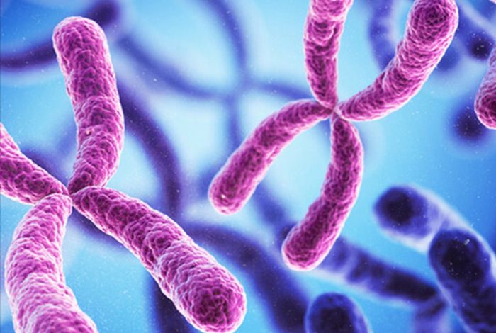 London Calling 2023: The dark side of carrier screening: illuminating hard-to-decipher genes in common genetic disorders with nanopore sequencing