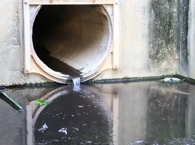 Sharing of carbapenemase-encoding plasmids between Enterobacteriaceae in UK sewage uncovered by MinION sequencing