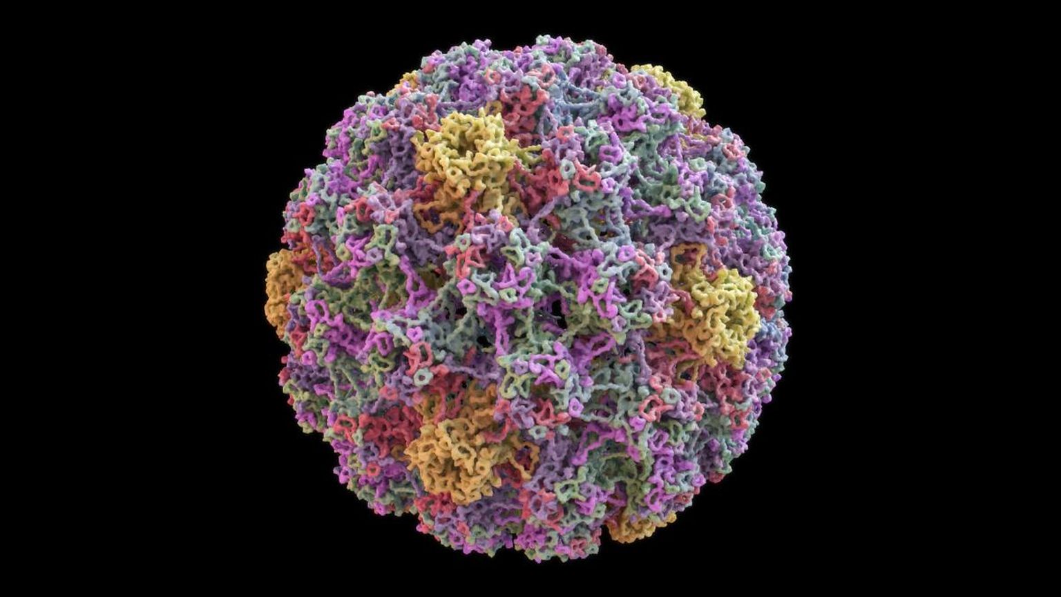 Validation of HPV genotyping by Oxford Nanopore sequencing in FFPE tissues and ThinPrep anal and gynaecological samples