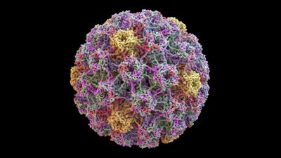 Validation of HPV genotyping by Oxford Nanopore sequencing in FFPE tissues and ThinPrep anal and gynaecological samples