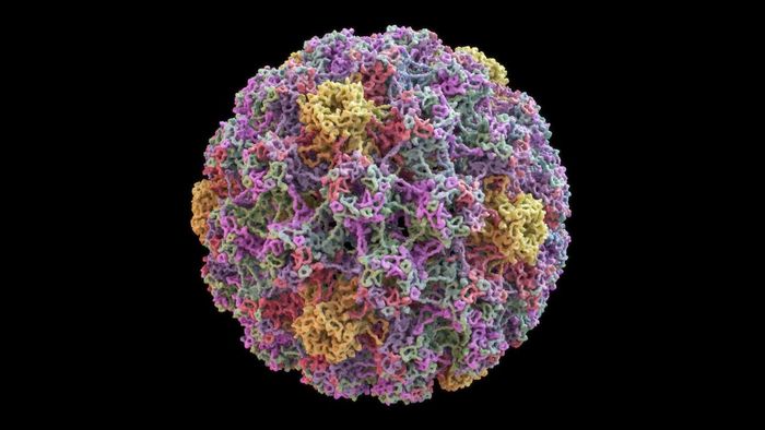 Validation of HPV genotyping by Oxford Nanopore sequencing in FFPE tissues and ThinPrep anal and gynaecological samples