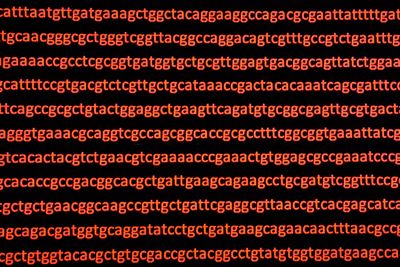 genome sequence