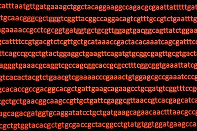 genome sequence