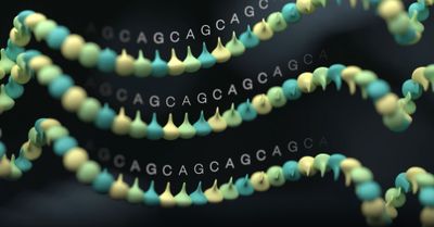 *NOTCH2NLC* GGC repeat expansion in patients with vascular leukoencephalopathy
