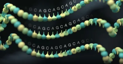 Intronic *FGF14* GAA repeat expansions impact progression and survival in multiple system atrophy 