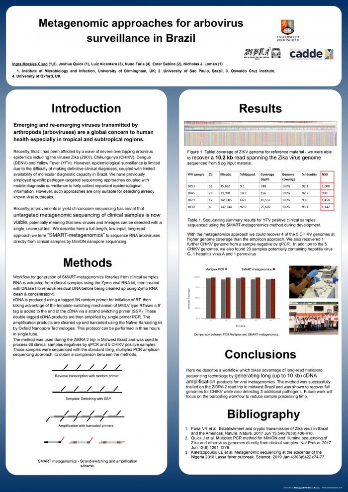 Metagenomic approaches for arbovirus surveillance in Brazil