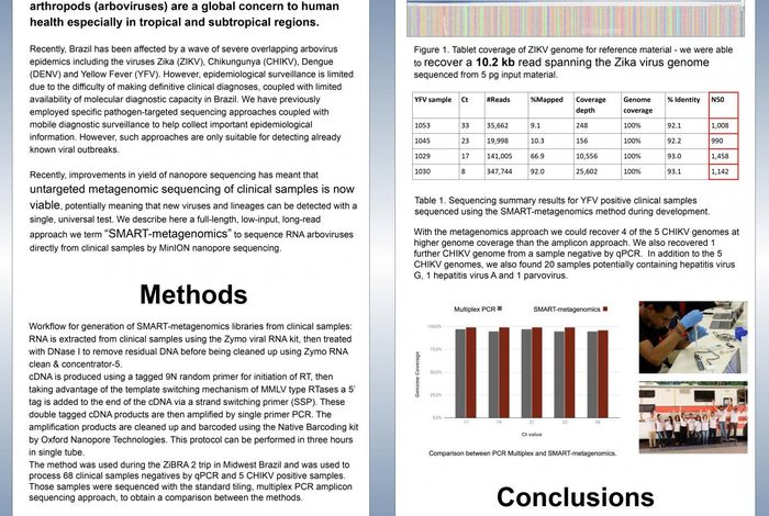 Metagenomic approaches for arbovirus surveillance in Brazil
