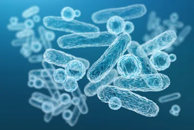 White outlines of bacteria on blue background