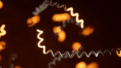 Detecting isoforms and RNA modifications with PCR-free, direct RNA nanopore sequencing