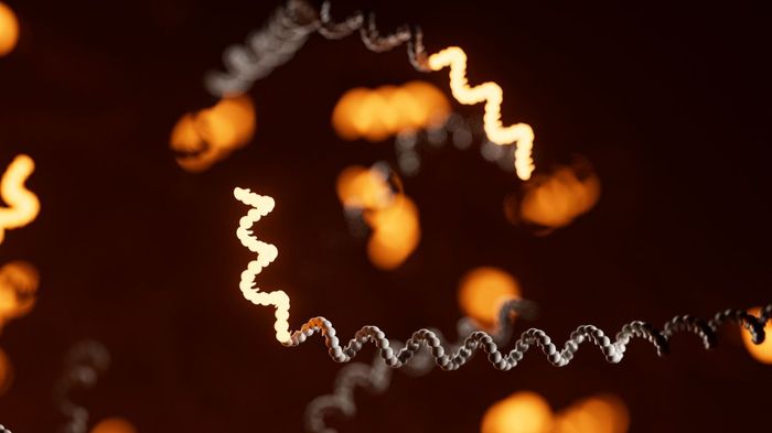 Workflow overview: direct RNA sequencing