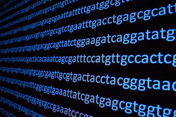 yacrd and fpa: upstream tools for long-read genome assembly