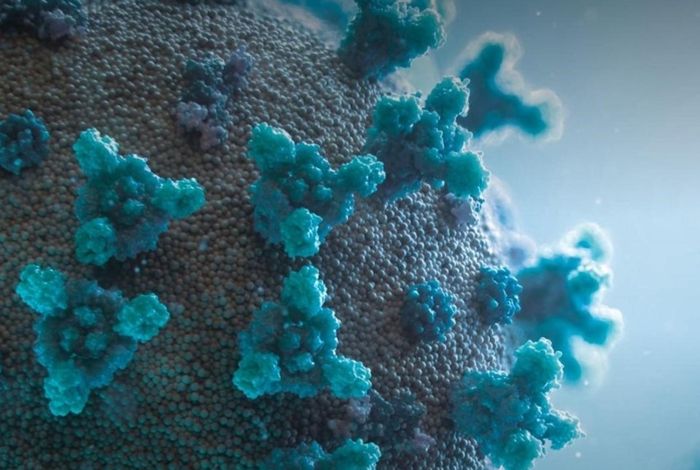 NCM 2023 Houston: Building and applying global pathogen surveillance in a post/peri-pandemic world