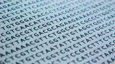 Democratizing DNA Fingerprinting