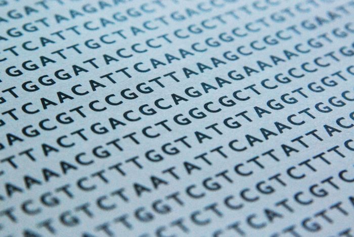 Democratizing DNA Fingerprinting